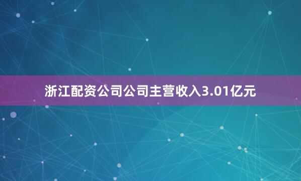 浙江配资公司公司主营收入3.01亿元