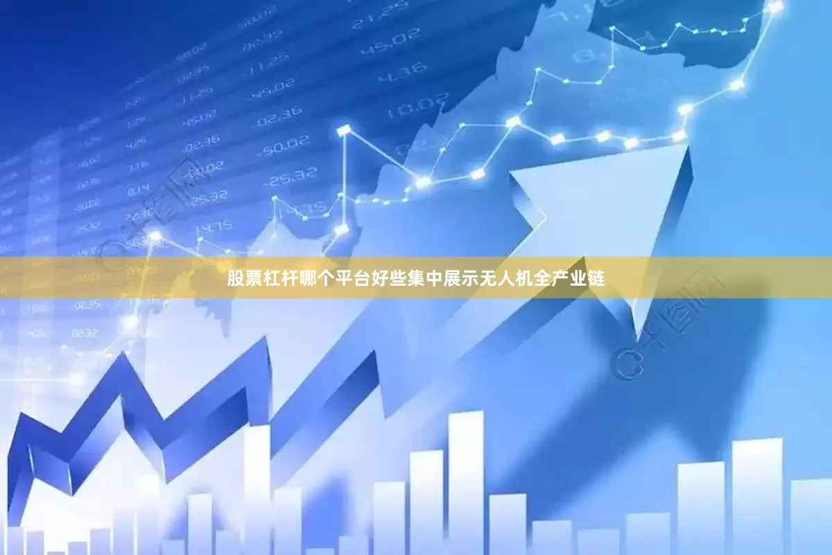 股票杠杆哪个平台好些集中展示无人机全产业链