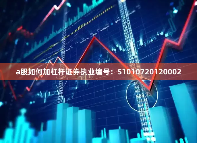 a股如何加杠杆证券执业编号：S1010720120002