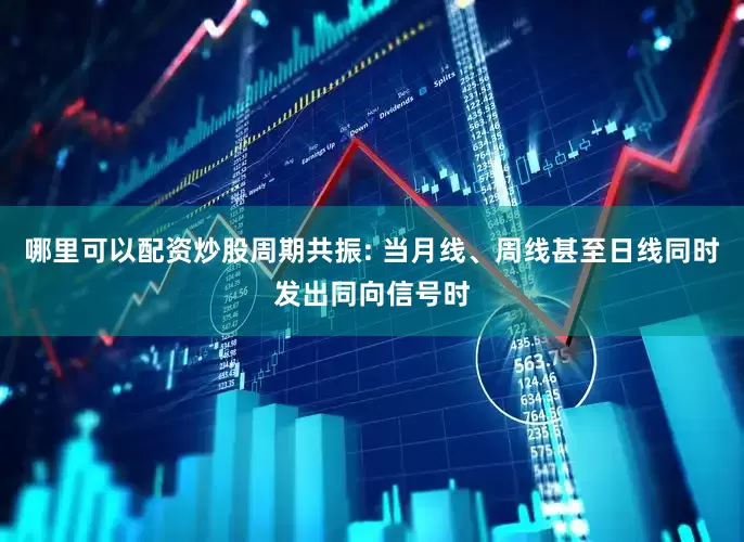 哪里可以配资炒股周期共振: 当月线、周线甚至日线同时发出同向信号时
